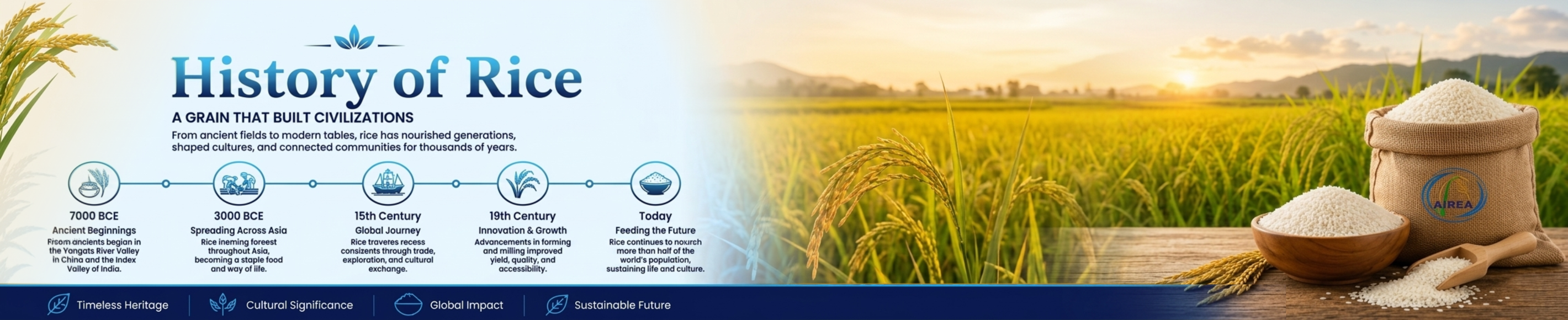 All India Rice Exporters of India – Airea